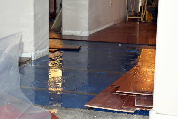 Professional Burst Pipe Cleanup technician working in Vanleer, TN